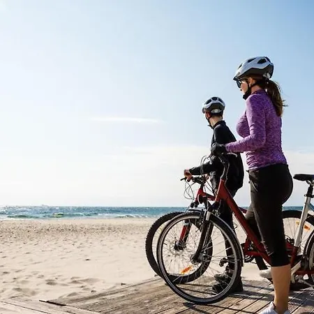 In Near Baltic サルビノボ