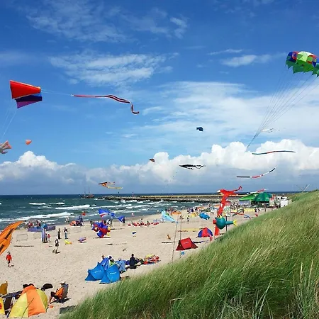 Comfortable Homes With Terraces