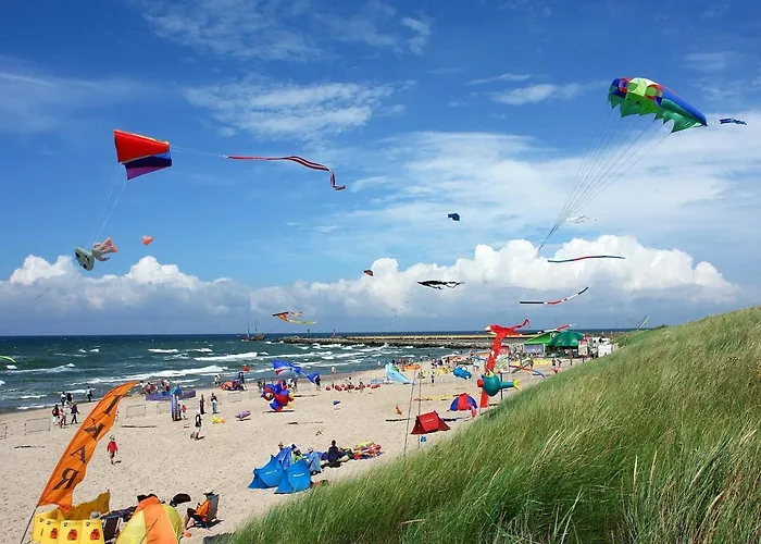 Comfortable Homes With Terraces